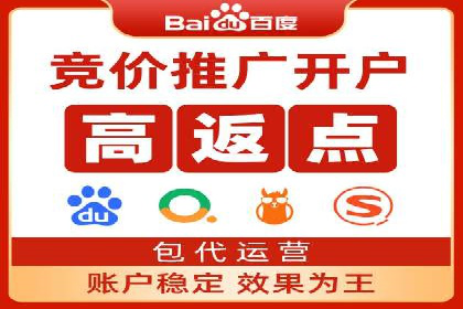 解析某某SEM服务公司的广告投放策略与效果评估
